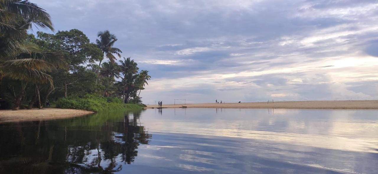 Marari Beach Pearl Homestay Mararikulam Exterior photo